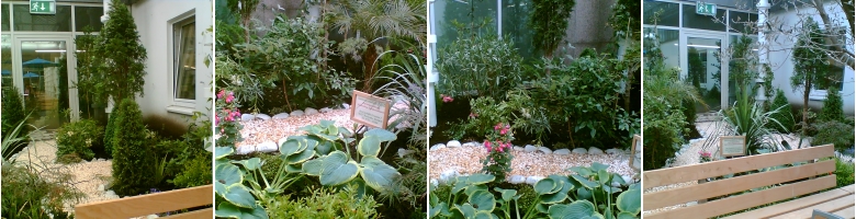 vor der Gartenumgestaltung durch Gartengestaltung Stoll in Karlsruhe