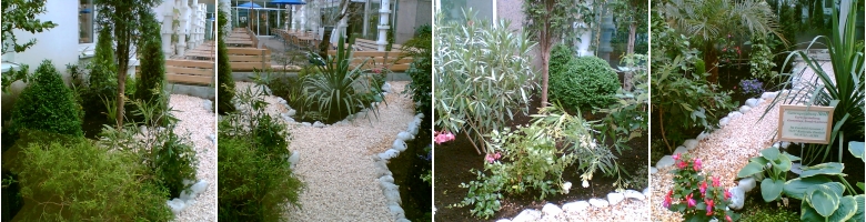 nach der Gartenumgestaltung durch Gartengestaltung Stoll in Karlsruhe