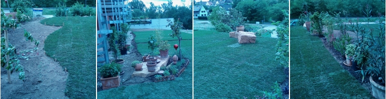 nach der Gartenumgestaltung durch Gartengestaltung Stoll in Karlsruhe